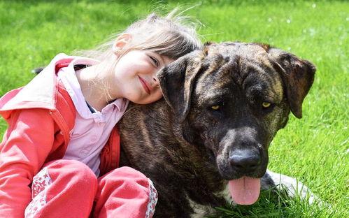 假如狗会说话娱乐吃瓜酱,娱乐吃瓜酱带你领略狗狗界的趣味日常 第3张 假如狗会说话娱乐吃瓜酱,娱乐吃瓜酱带你领略狗狗界的趣味日常 第3张