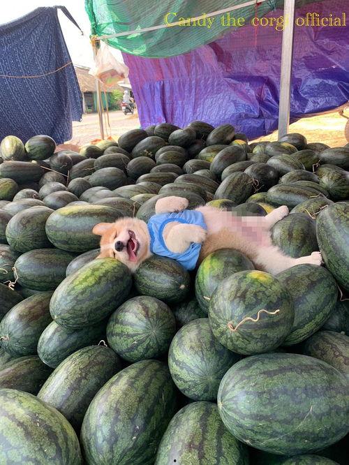 今天吃瓜,盘点娱乐圈新鲜事 第2张 今天吃瓜,盘点娱乐圈新鲜事 第2张