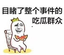娱乐吃瓜菌走向共和