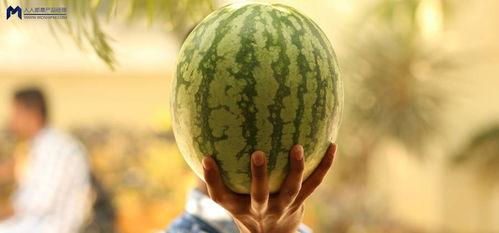 2021年娱乐吃瓜,年度吃瓜大事件盘点