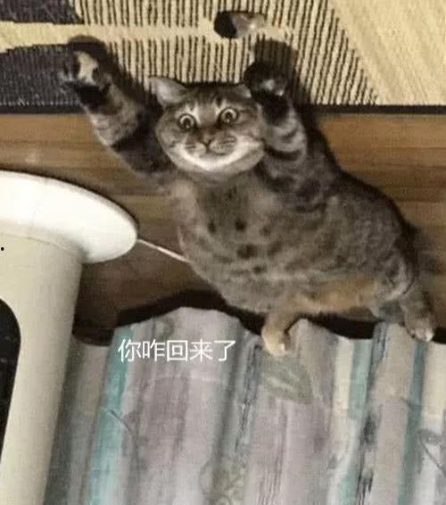 娱乐吃瓜酱出门忘关空调,娱乐吃瓜酱上演“电费刺客” 第3张 娱乐吃瓜酱出门忘关空调,娱乐吃瓜酱上演“电费刺客” 第3张