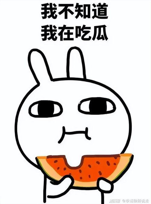 娱乐吃瓜蛋仔名字大全,趣味横生的昵称盛宴  第2张