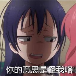 娱乐吃瓜酱人和人的羁绊,探寻人与人的羁绊之旅  第3张