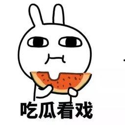 娱乐吃瓜酱当你纠结时,娱乐吃瓜酱教你轻松化解  第3张