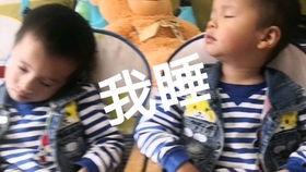 娱乐吃瓜酱打瞌睡  第2张