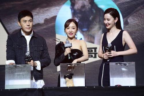 明星娱乐圈吃瓜视频合集,明星吃瓜视频大合集  第3张