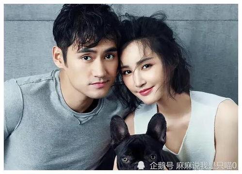 因为吃瓜爆红娱乐圈,从吃瓜爆红到娱乐圈的璀璨新星 第2张 因为吃瓜爆红娱乐圈,从吃瓜爆红到娱乐圈的璀璨新星 第2张